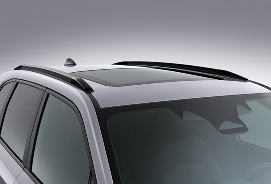 <sg-lang1>Rieles de techo</sg-lang1><sg-lang2></sg-lang2><sg-lang3></sg-lang3>